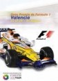 F1: Felipe Massa, primero en Valencia. Fernando Alonso se vio obligado a abandonar